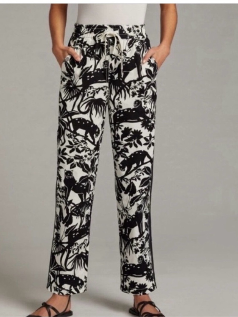 Anthropologie Maeve Tenley Jaguar Jogger Pull On Pants | XS